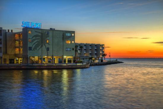 410-Gorgeous Views, Waterfront, Wifi, Pool And Close To Bucs Stadium Tampa Dış mekan fotoğraf
