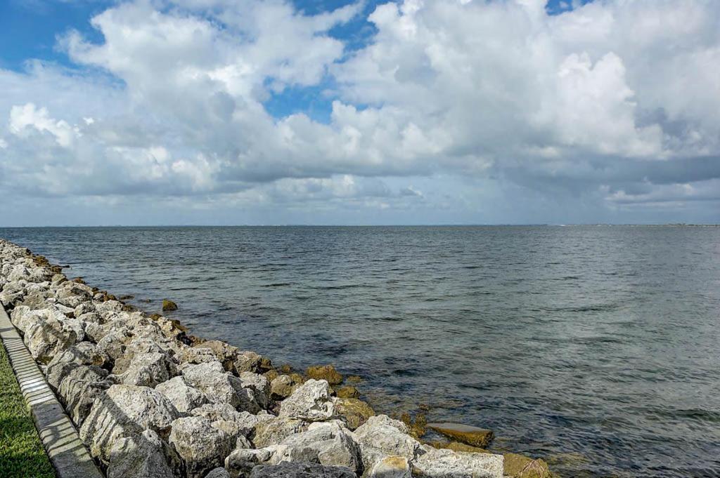 410-Gorgeous Views, Waterfront, Wifi, Pool And Close To Bucs Stadium Tampa Dış mekan fotoğraf