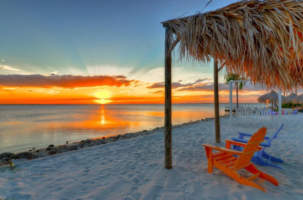 410-Gorgeous Views, Waterfront, Wifi, Pool And Close To Bucs Stadium Tampa Dış mekan fotoğraf